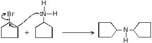 Chemical Reaction: Nucleophilic Substitution Reactions | Chemistry for JEE Main & Advanced